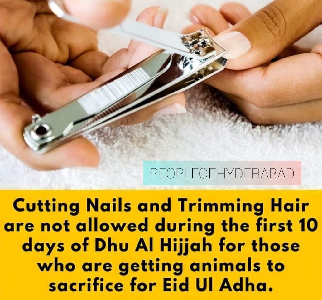 Saba Khan tweet media