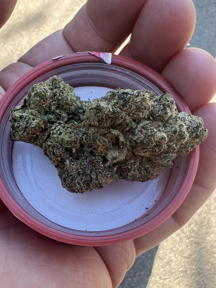 Candy gas face <a href="/carmelcannabis/">Carmel Cannabis</a>