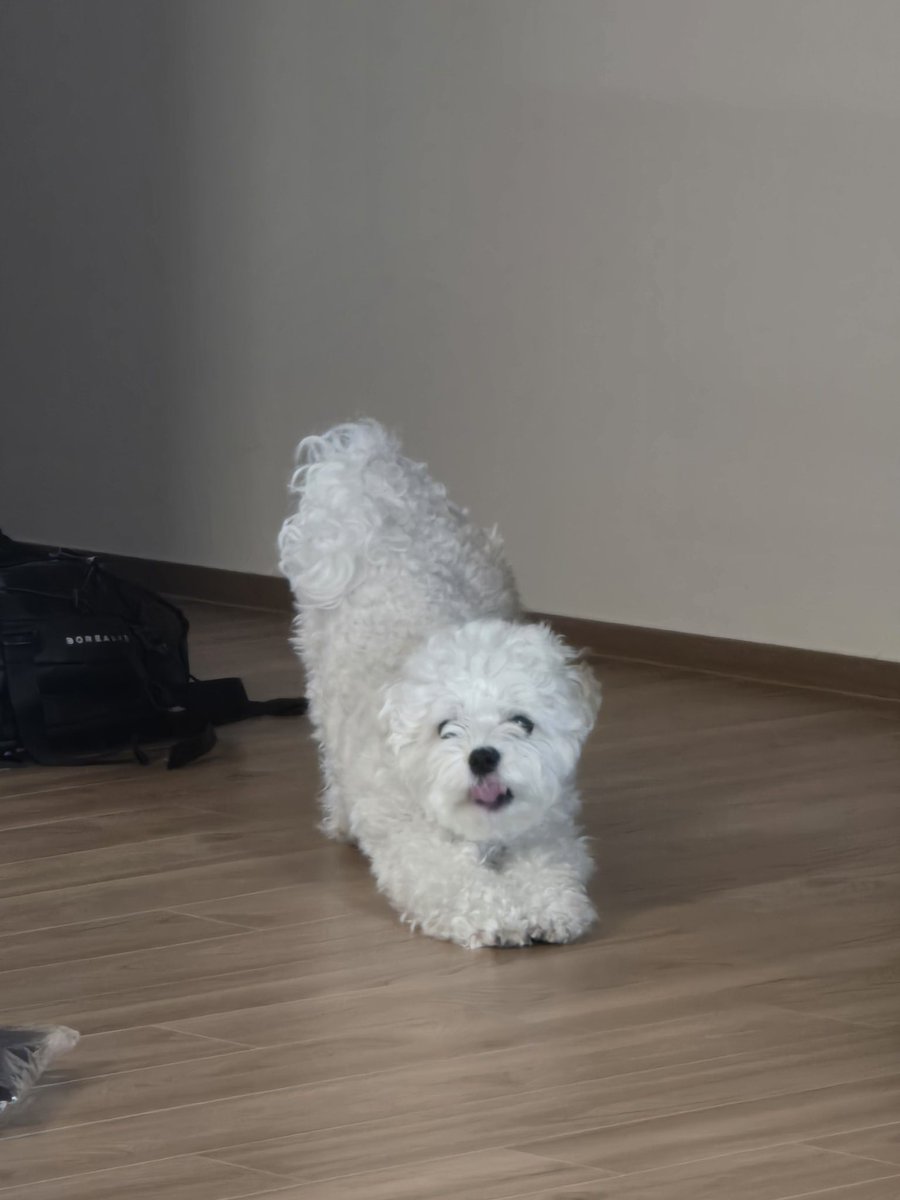 아 털찐거봐 귀엽따