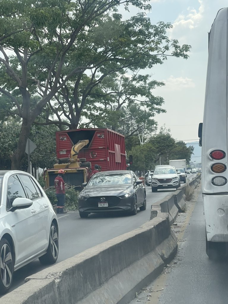 losuna74's tweet photo. Que afán por parte de @GuadalajaraGob @ZapopanGob de cortar árboles en horas pico en Av. Mariano Otero antes y después de periférico, genera congestión vial. @Trafico_ZMG https://t.co/vVbepvtxdi