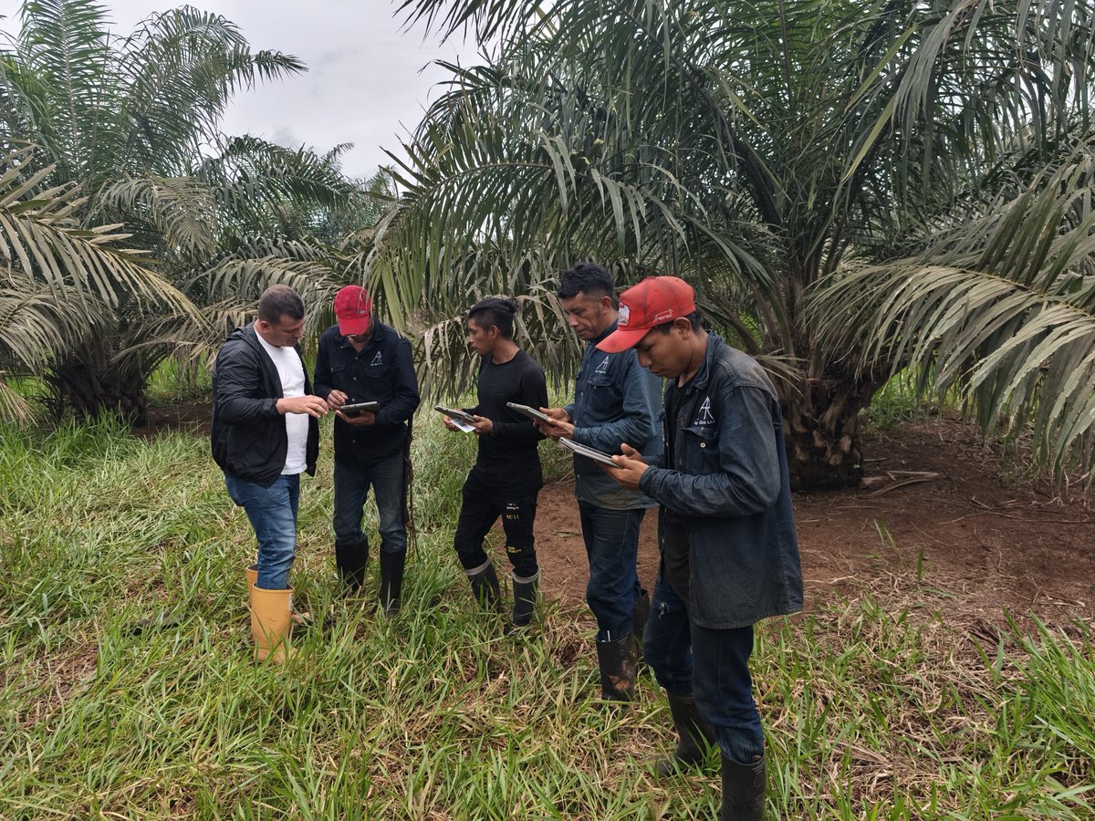 Solidaridad Network 🇨🇴 tweet media