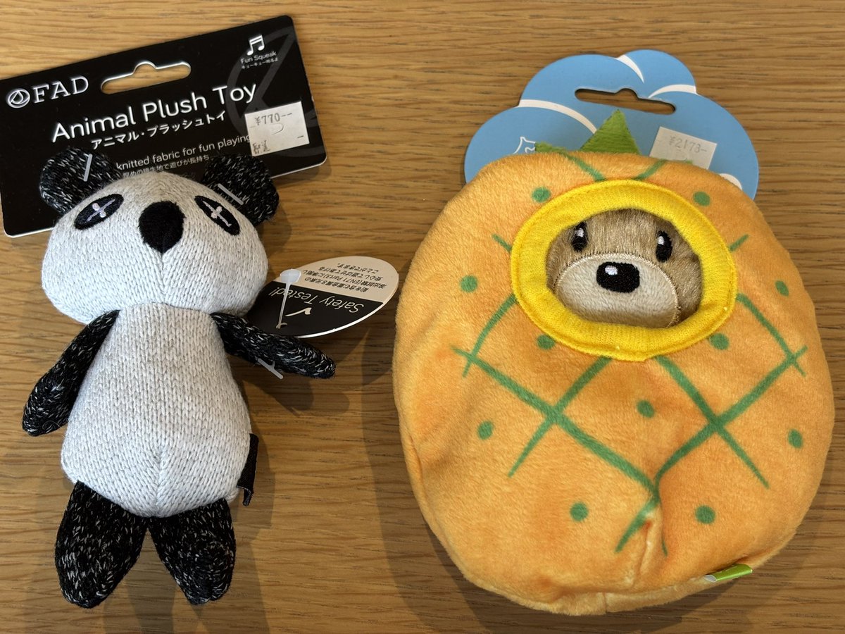 緑川さんちのピノさん、めっちゃ可愛いくて写真見てるだけでも癒され