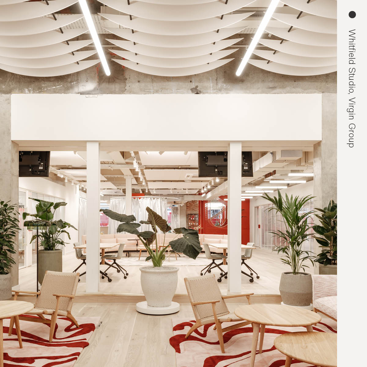 Autex Acoustics tweet media