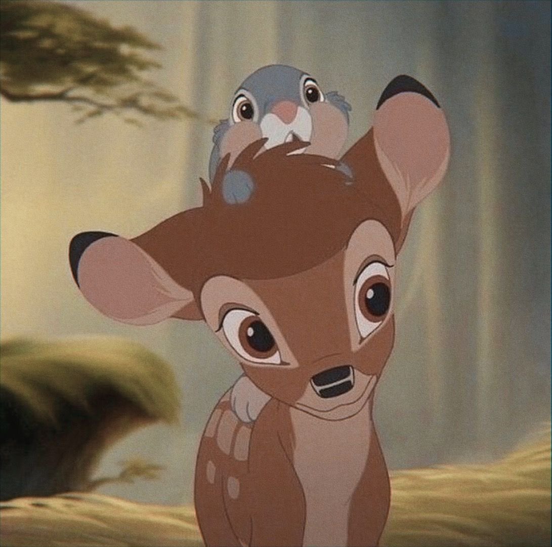 🦌 (@meretbambi) on Twitter photo 