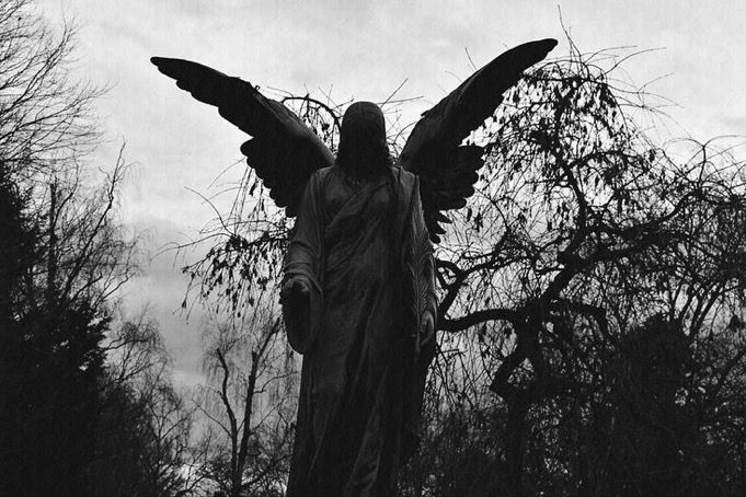 Black. (@blackdreamvibes) on Twitter photo 