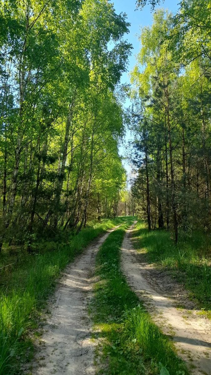 ᅠ ᅠ (@greendreaams) on Twitter photo 