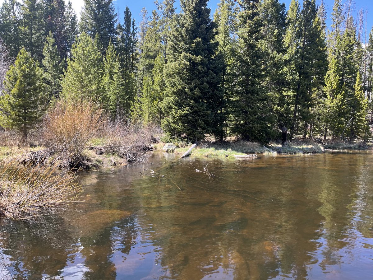 elmand21st's tweet photo. Ready to pierce some trout lips. https://t.co/GH44peDaU0