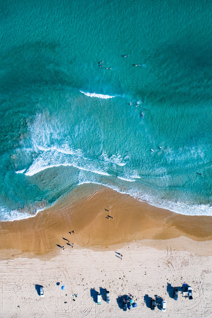 alexkess tweet media