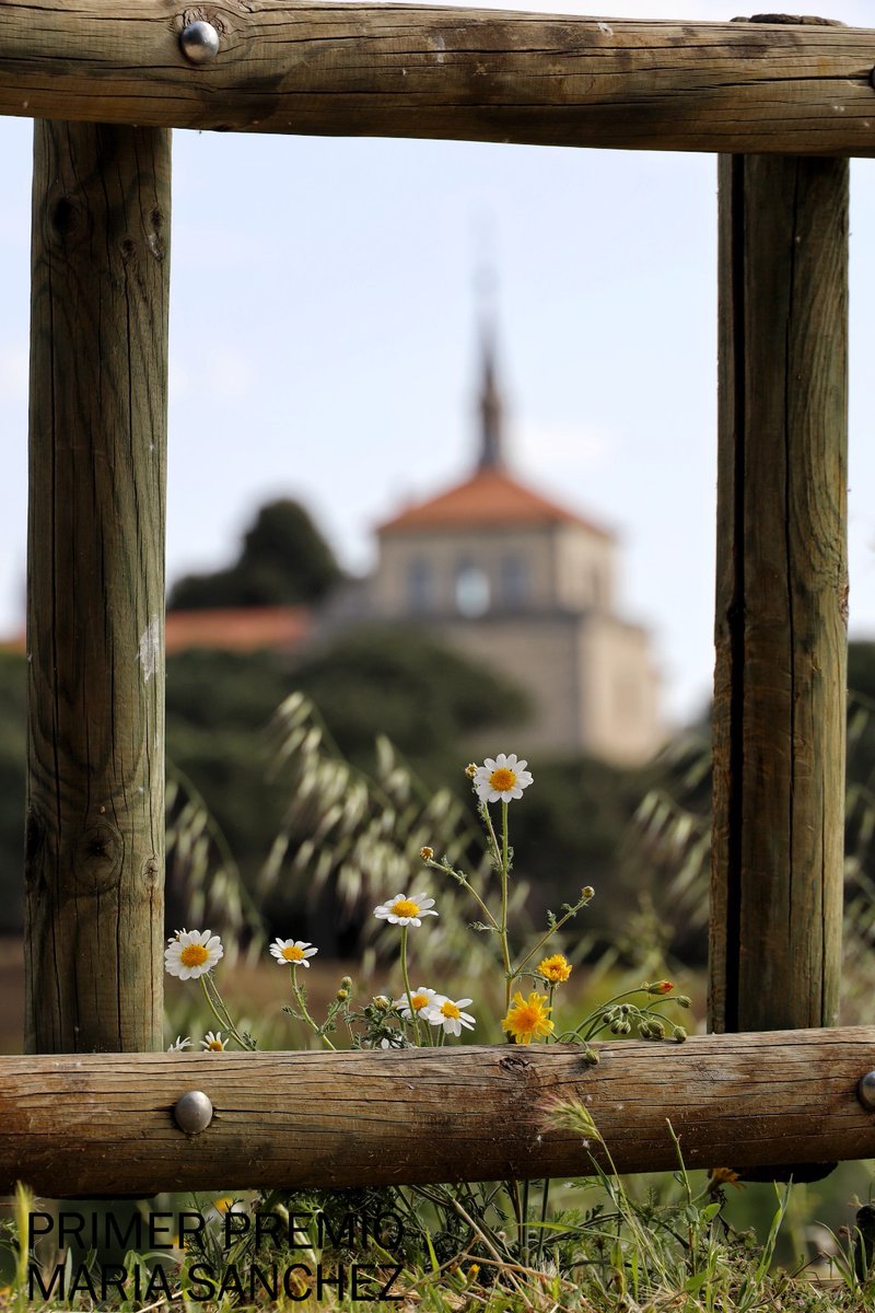 vecinosvodon's tweet photo. 📌FIESTA DE LA PRIMAVERA 2025
En el concurso de fotografía 📸  se han presentado 1⃣5⃣
Os dejamos los ganadores 👇👇👇 https://t.co/DQ69NksUmD