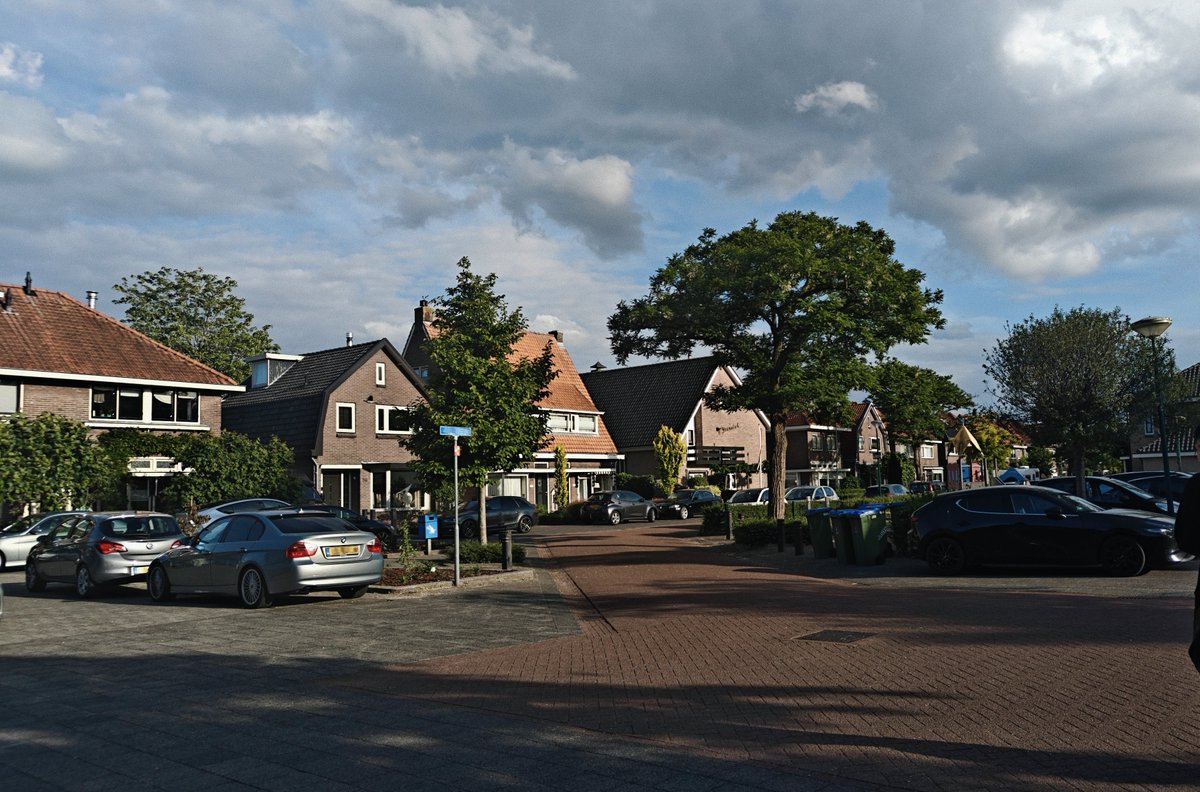 忆忆不吃鱼 tweet media