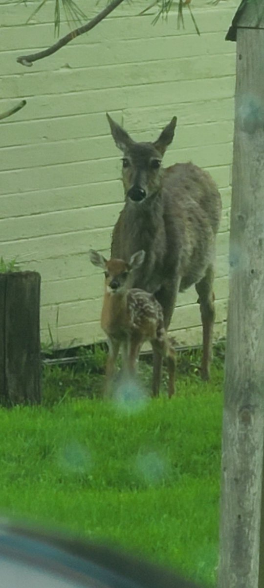 someone heard about snacks lol