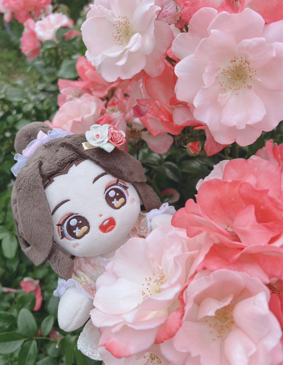 🌹･:*一日一花･:*🌹

薔薇の妖精みたいに可愛い
リェンリェン🩷

#天官賜福