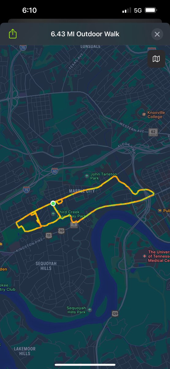 Pumpkin Spice Otter. (@benjiboybb2) on Twitter photo 