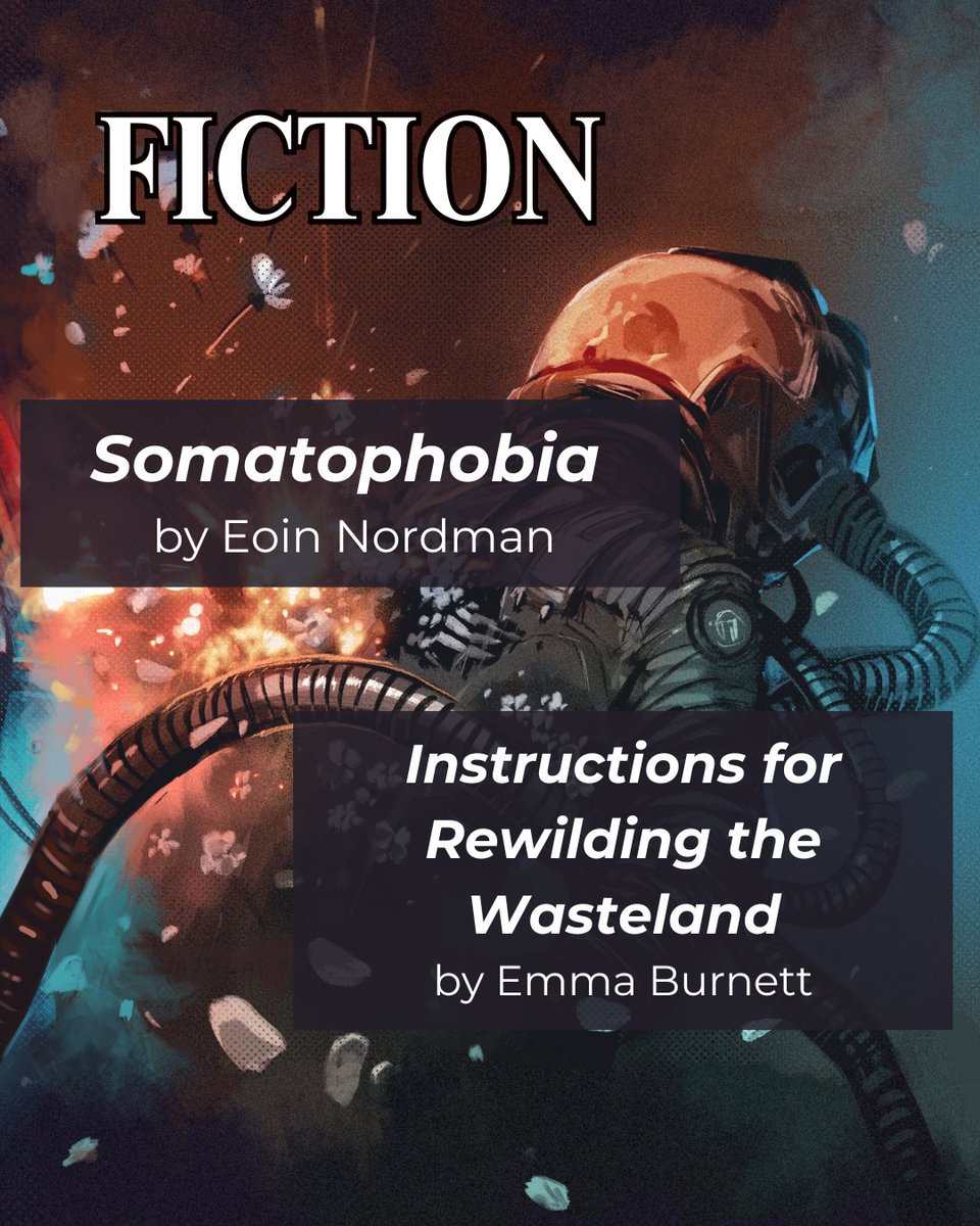 We're getting closer to our Issue 10 release, so we're kicking off our author reveals with the talented Eoin Nordman, Emma Burnett, Megan Cartwright, and Mercury Sunderland!

Stay tuned as we release more captivating titles before launching Issue 10!

#indiejournal #scifi #space
