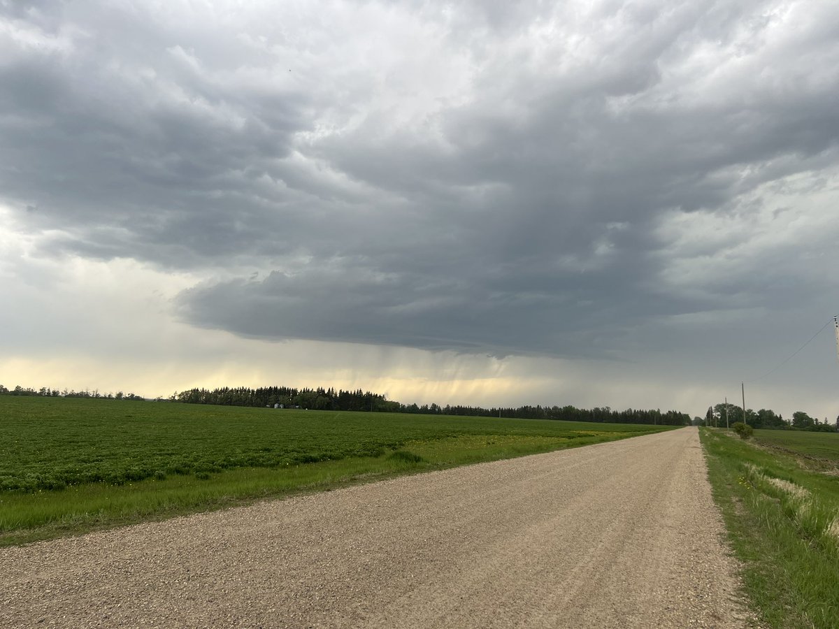 YounkShack's tweet image. Just south of Calmar, AB, looking west / south west. Looking at the elevated base. Fair bit of CG lightning with this one. #abstorm