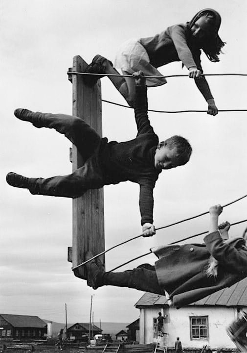 Fleurop (@fl_ro_ph) on Twitter photo 