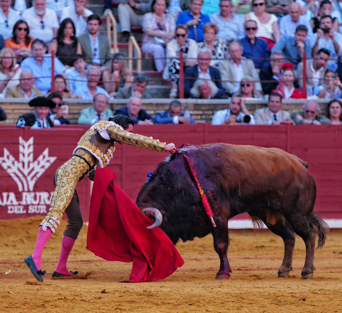 Victor Dorado (@vdora2p) on Twitter photo No veas como es la estocada…!! Para ser un cadaver (según <a href="/zabaladelaserna/">zabala de la serna</a>) solo la ejecución es digna de mención…
#juanortega #cordoba No veas como es la estocada…!! Para ser un cadaver (según <a href="/zabaladelaserna/">zabala de la serna</a>) solo la ejecución es digna de mención…
#juanortega #cordoba