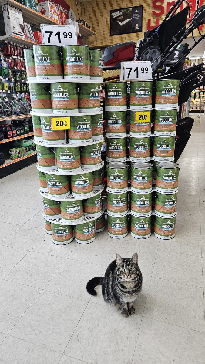CatWorkers's tweet photo. https://t.co/LRc8HJkfhl