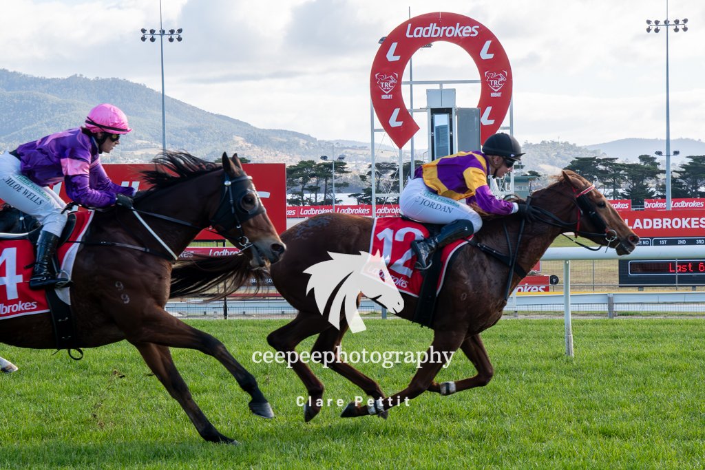 cpat13's tweet photo. It may have only been a maiden at Hobart but this is what racing means to people!!  Well done Rat, Andrea and everyone involved with Whisper Of Matilda #TF #tasracing https://t.co/b4BhoP3BbW