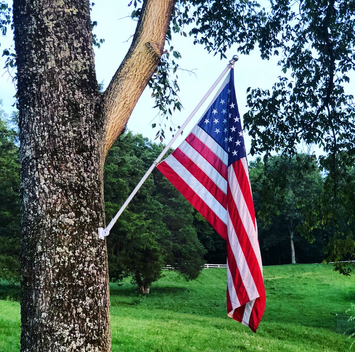 TGL Farms (@tgl_farms) on Twitter photo 