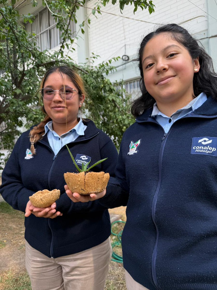 SEPHidalgo's tweet photo. 🌟 Estudiantes del @CONALEP_HGO plantel Tulancingo, brillaron en la fase regional del Premio Nacional Juvenil del Agua 2025, logrando el primer y segundo lugar con proyectos innovadores que transforman el lactosuero en soluciones sustentables. 💧✨

🏆 Ariadna Jiménez y Lucía Jimena Cárdenas obtuvieron el primer lugar con macetas biodegradables a partir de suero lácteo, mientras que Ana Laura Escorcia y Tania Jissel Galván se llevaron el segundo lugar con eco-ladrillos para la construcción sostenible.

🚀 Estas iniciativas reflejan el impulso de la SEPH, encabezada por @natycastrejonv y del gobernador @juliomenchaca_   quienes respaldan las vocaciones científicas y el talento joven en Hidalgo.

#PrimeroLaEducación
#NatyCastrejón
