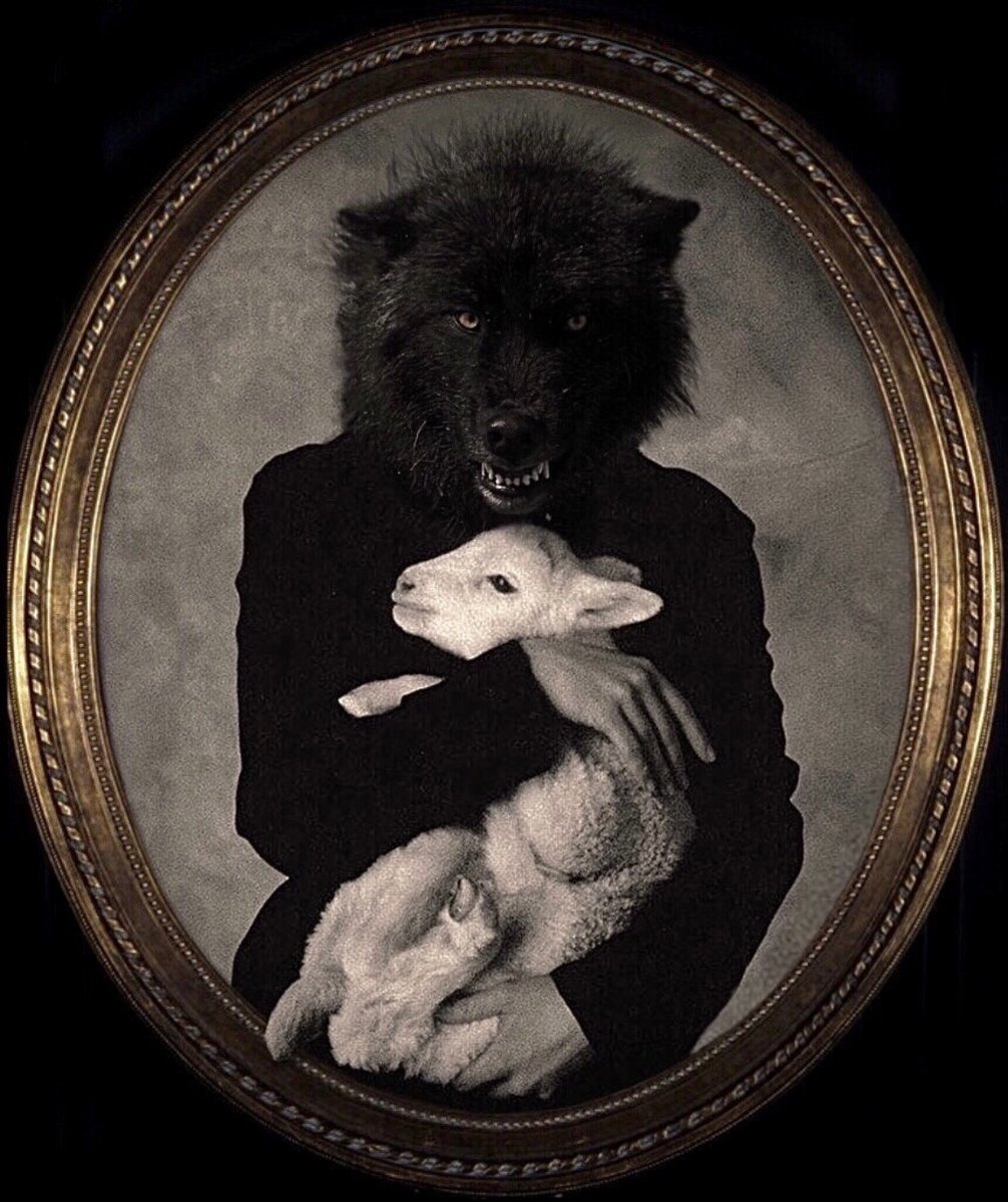 solisolsoli's tweet image. By Robin Isely