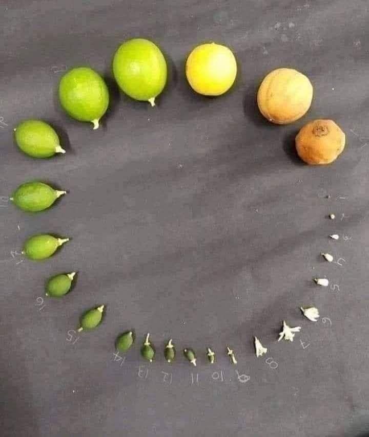 مهما وصلت من مكان او مقام عالي سيأتي يوم تكون فيه نهايتك ....
سامح واعمل الخير قبل هذا اليوم ...