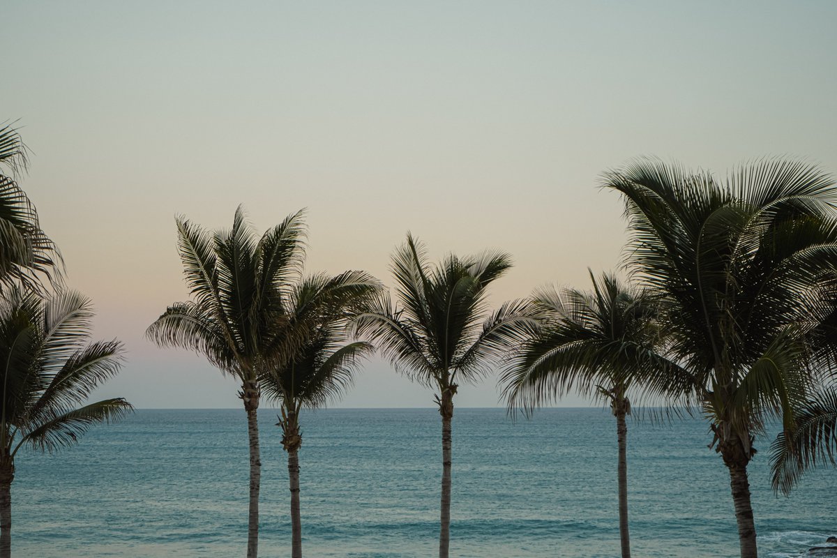 Emotions ran high in last night’s episode, with unexpected twists unfolding against the breathtaking elegance and sophistication of Grand Velas Boutique Los Cabos.

Stay tuned to discover even more vibrant experiences.