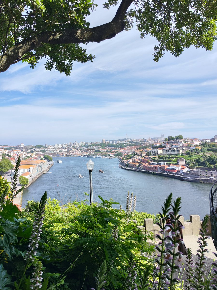 Portu ✈️ tweet media