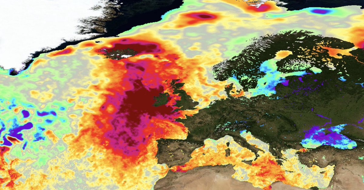 Wow — the red blob in the Atlantic is back.
Sea surface temps are ~5°C above average west of Ireland and in around Iceland — the warmest ever recorded that far north. The tides are turning — and they’re getting hotter.