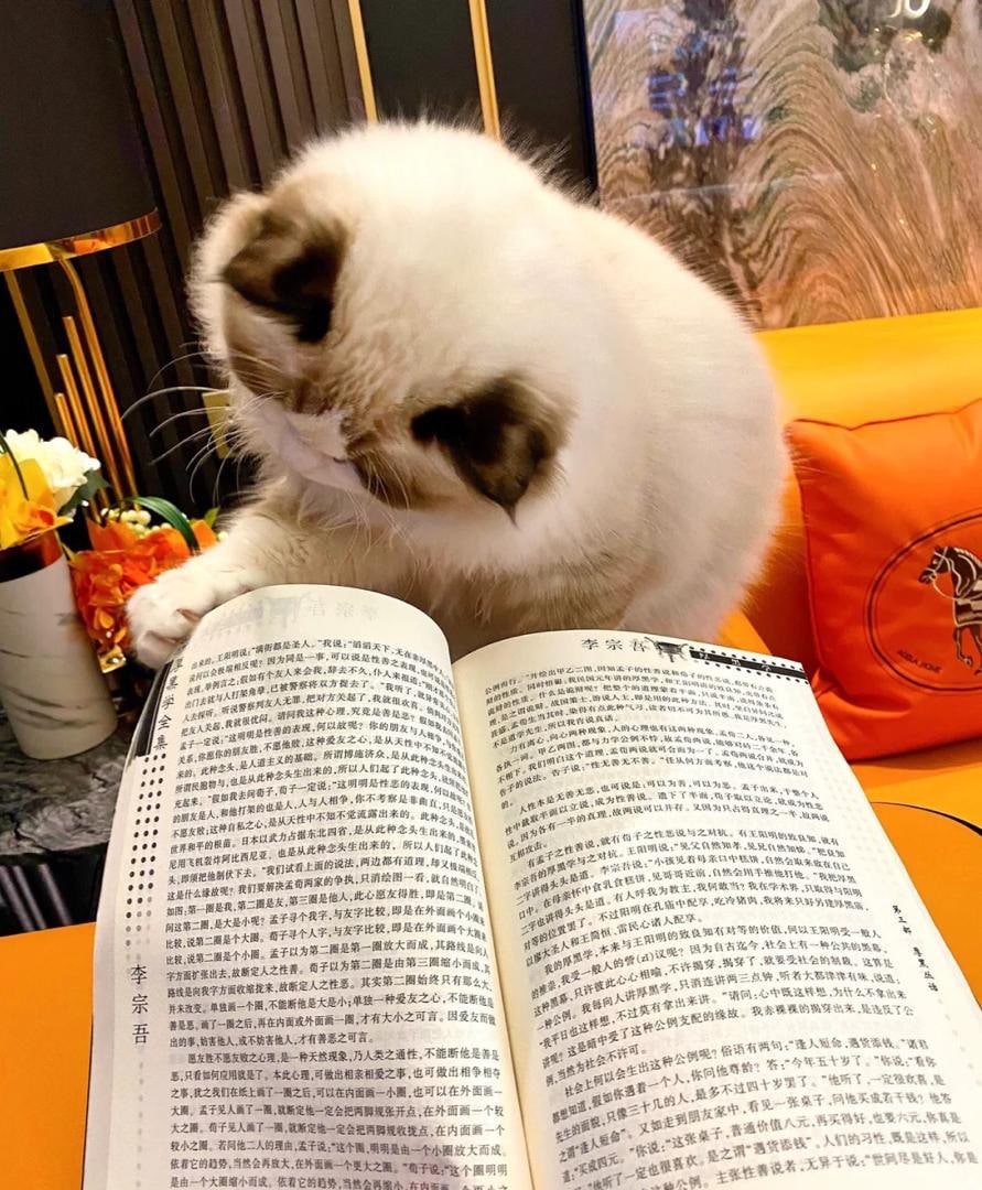 The significance of recording is to enable happiness to be flipped through