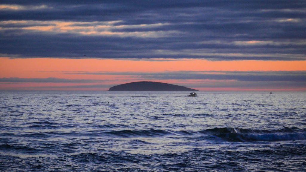 PhotoCapeBreton (@photocapebreton) on Twitter photo Dawn of another fishing day at Inverness. <a href="/AMacInnis2/">Al MacInnis</a> <a href="/KMacTWN/">Kim MacDonald π»</a> <a href="/tomayers2262/">Tom Ayers</a> <a href="/BenHenryBunch/">πππ</a> <a href="/truthseekermom6/">April π»</a> <a href="/KalinMitchelCTV/">Kalin Mitchell</a> <a href="/allistercanada/">Allister Aalders</a> <a href="/Ross_Hull/">Ross Hull</a> <a href="/MurphTWN/">Chris Murphy TWN</a> <a href="/NateTWN/">Nathan Coleman</a> <a href="/NSFisherman/">Nova Scotia Fisherman</a> #lobster Dawn of another fishing day at Inverness. <a href="/AMacInnis2/">Al MacInnis</a> <a href="/KMacTWN/">Kim MacDonald π»</a> <a href="/tomayers2262/">Tom Ayers</a> <a href="/BenHenryBunch/">πππ</a> <a href="/truthseekermom6/">April π»</a> <a href="/KalinMitchelCTV/">Kalin Mitchell</a> <a href="/allistercanada/">Allister Aalders</a> <a href="/Ross_Hull/">Ross Hull</a> <a href="/MurphTWN/">Chris Murphy TWN</a> <a href="/NateTWN/">Nathan Coleman</a> <a href="/NSFisherman/">Nova Scotia Fisherman</a> #lobster