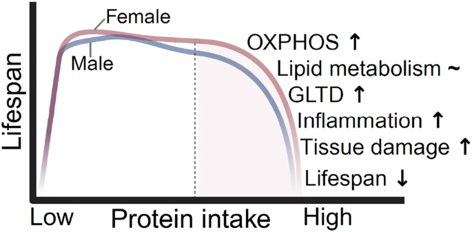 Agingdoc🩺Dr David Barzilai🔔MD PhD MS MBA DipABLM tweet media