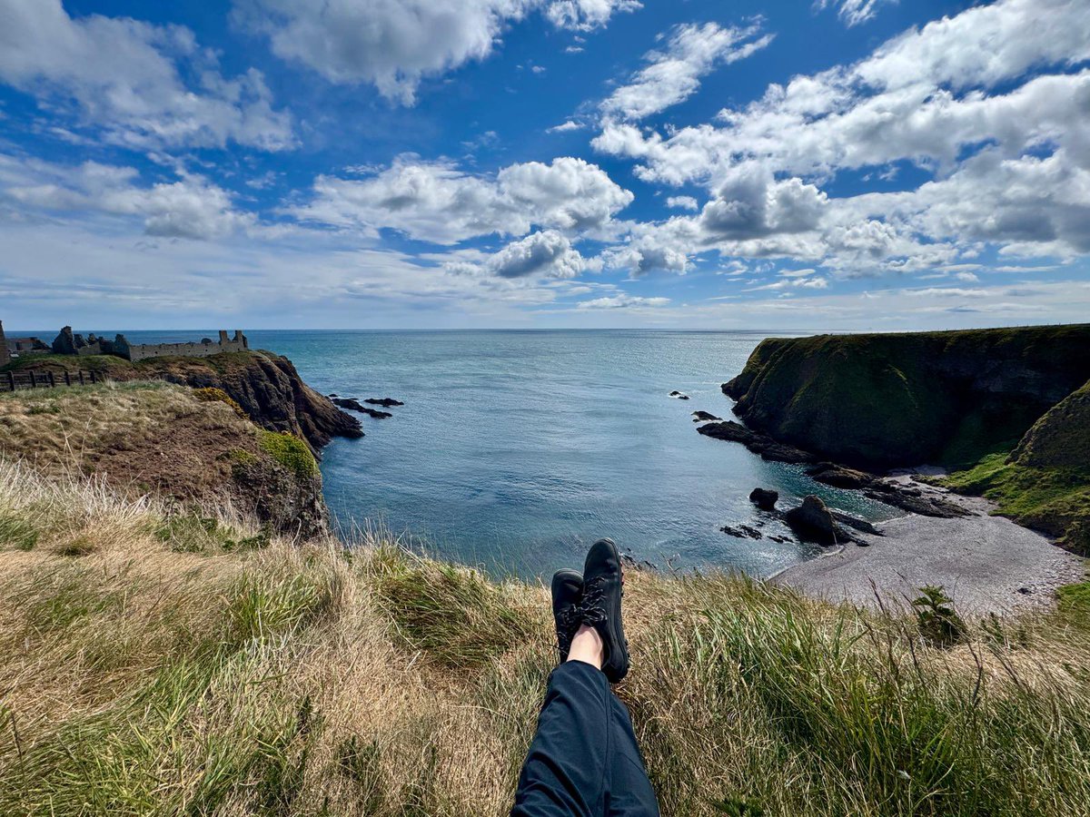 Guilford College Sport Studies tweet media