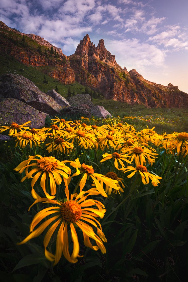 Colorado sure has some gems over 10k feet 💐