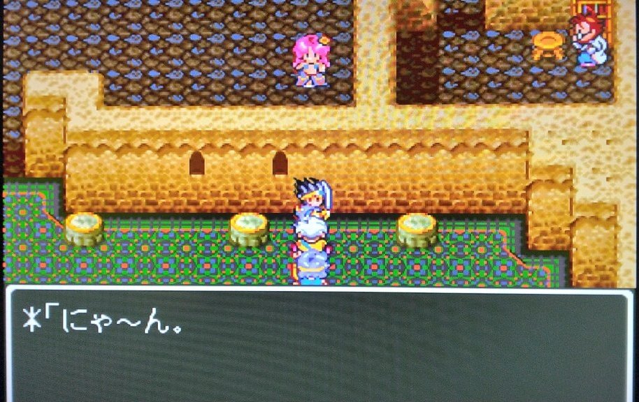 ネコッテ🐾 tweet media