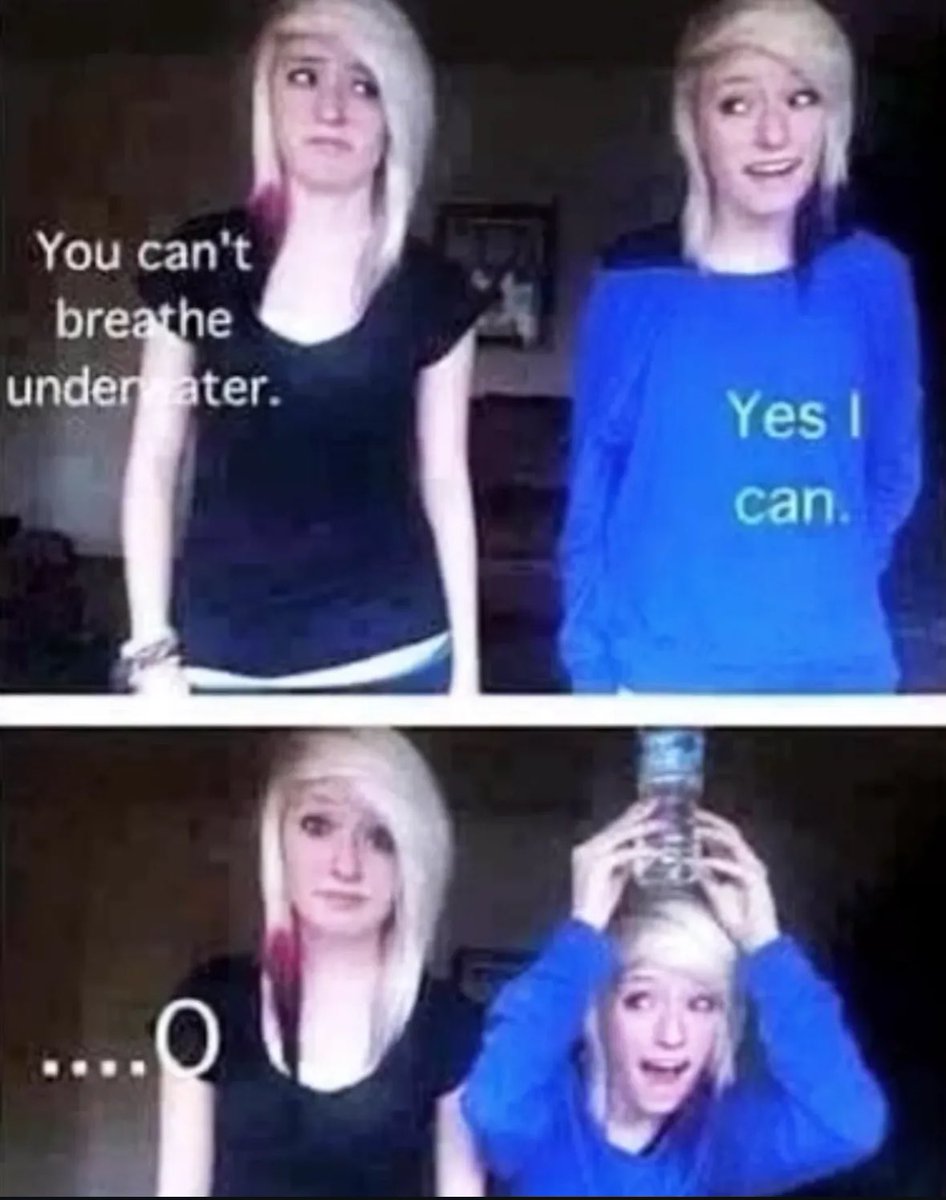 hydra (@blephin_) on Twitter photo 