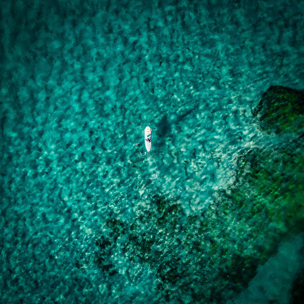 Kess Gallery tweet media