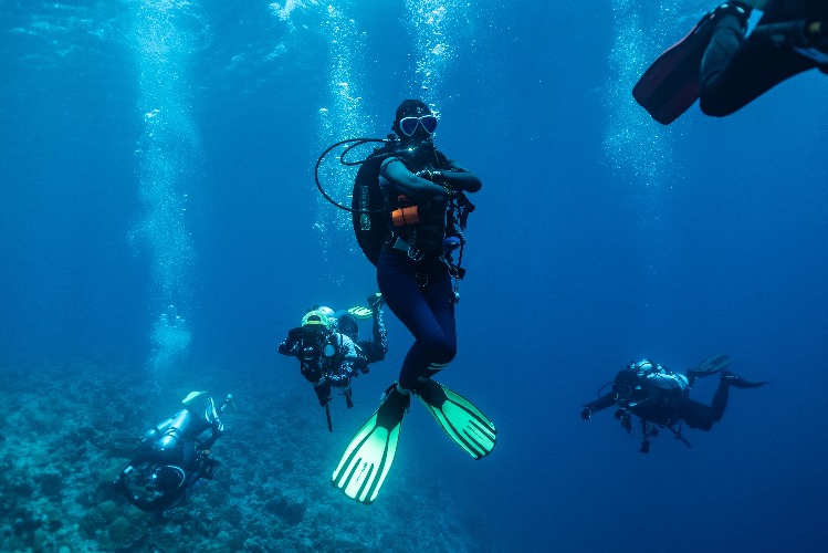 DiveMagazine's tweet photo. How safe are your scuba smarts? 🤿💡 Take our quick True or False quiz and see if you’re dive-ready! 👉 https://t.co/FZkEfu86KP

#ScubaDiving #DiveSafety #OceanLife #DIVEQuiz #ScubaTips #DiveSmart https://t.co/lpRaK2w2vp