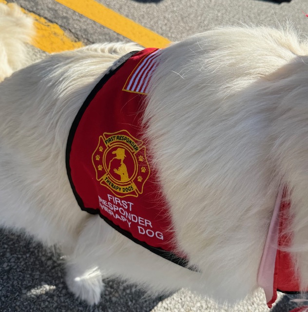 RepDanMiller (@repdanmiller) on Twitter photo And last but certainly not least, it was great to walk the South Hills Memorial Day Parade with Zion who is the official therapy dog of <a href="/MtLebanonFire/">Mt. Lebanon Fire Department</a> ! Appreciate being part of a department that seeks every way to support its members! And last but certainly not least, it was great to walk the South Hills Memorial Day Parade with Zion who is the official therapy dog of <a href="/MtLebanonFire/">Mt. Lebanon Fire Department</a> ! Appreciate being part of a department that seeks every way to support its members!