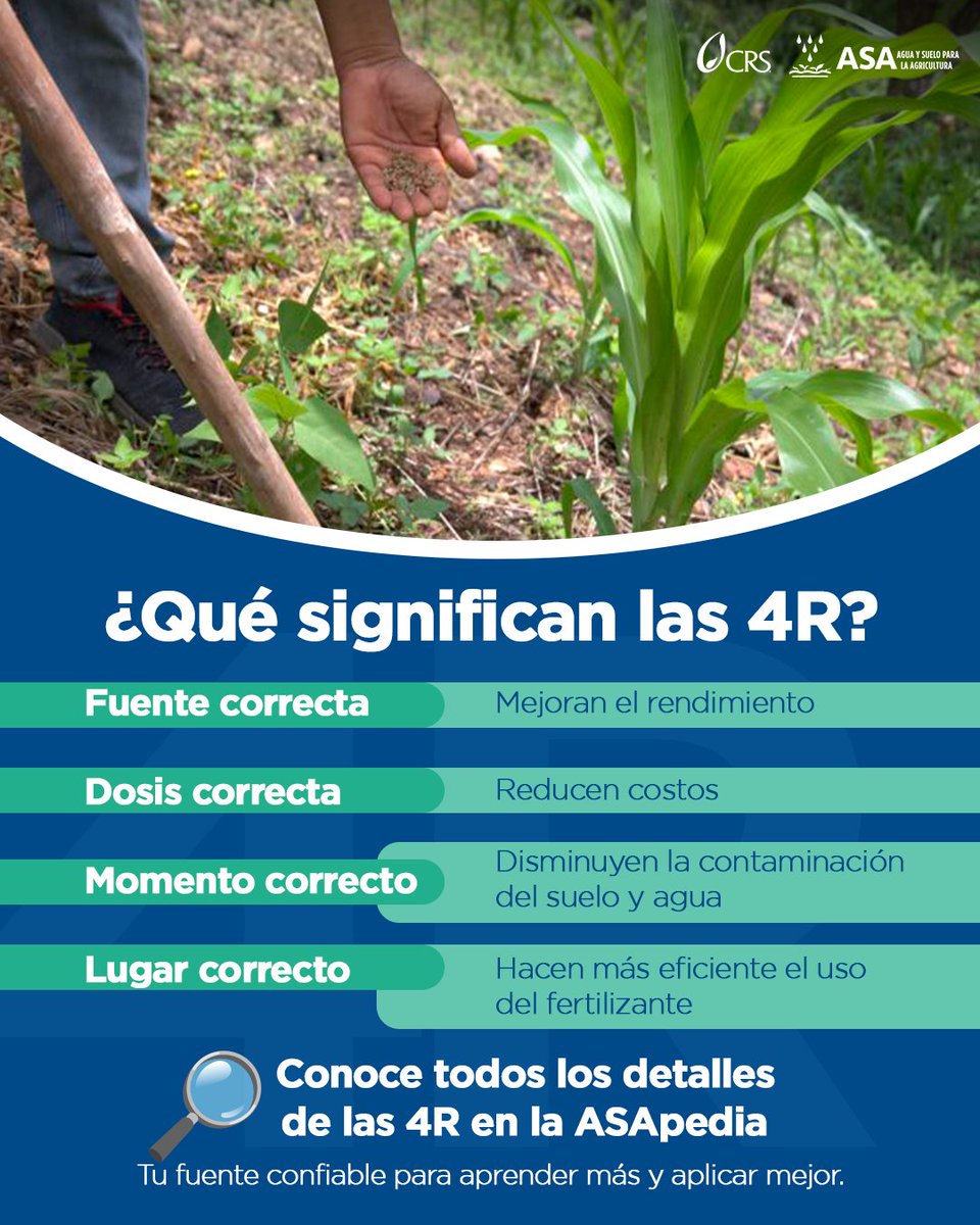 AguaVerdeASA's tweet photo. ๐ Las 4R son un tรฉrmino clave en agricultura sostenible: aplicar el fertilizante correcto, en la cantidad, lugar y momento justo ๐ฑ#CuidarElSuelo #AgriculturaSostenible #ASApedia https://t.co/hne1U3L4zd