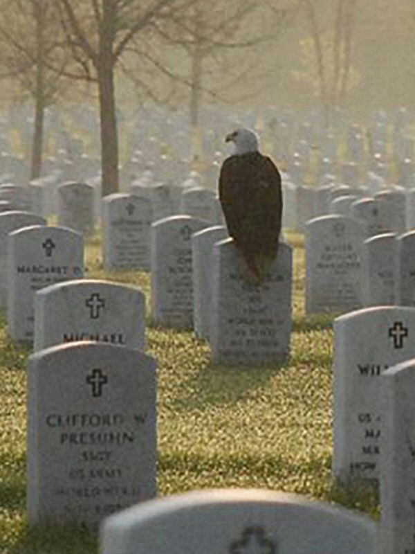 MAGA .Will Never forget our Fallen 🦅🦅🦅
