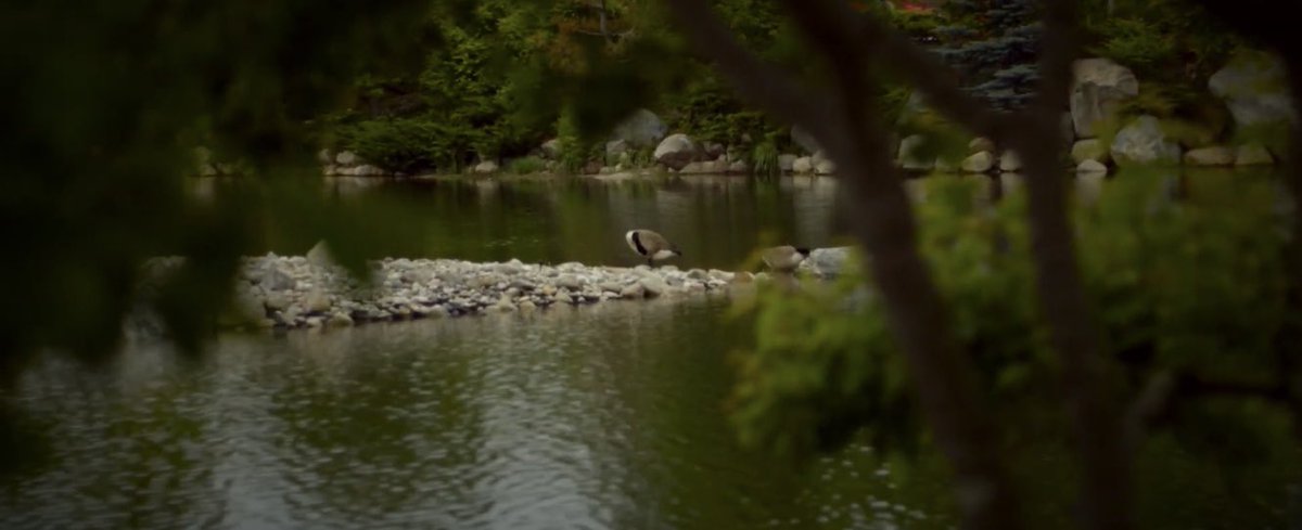 Zachary Rumley tweet media