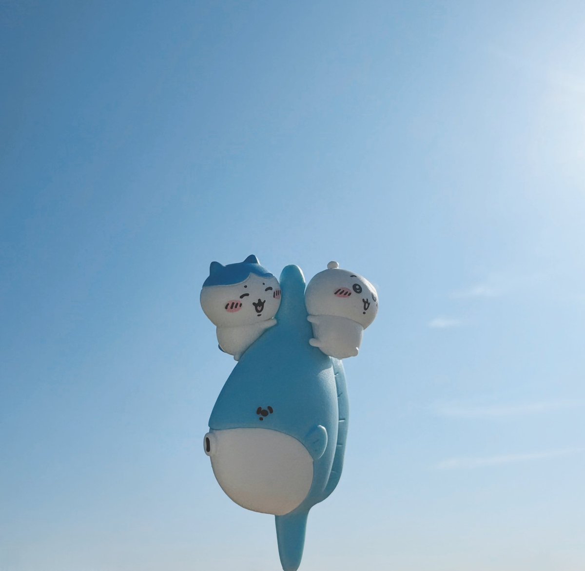 charimella's tweet photo. ｷｬ~ﾊﾊｯ https://t.co/r3QQ66tp8h
