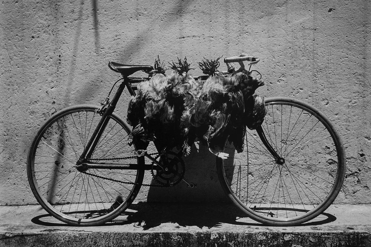 Graciela Iturbide: la fotógrafa mexicana que se llevó el Princesa de Asturias. 📸

🔗 bit.ly/4kB2XDJ