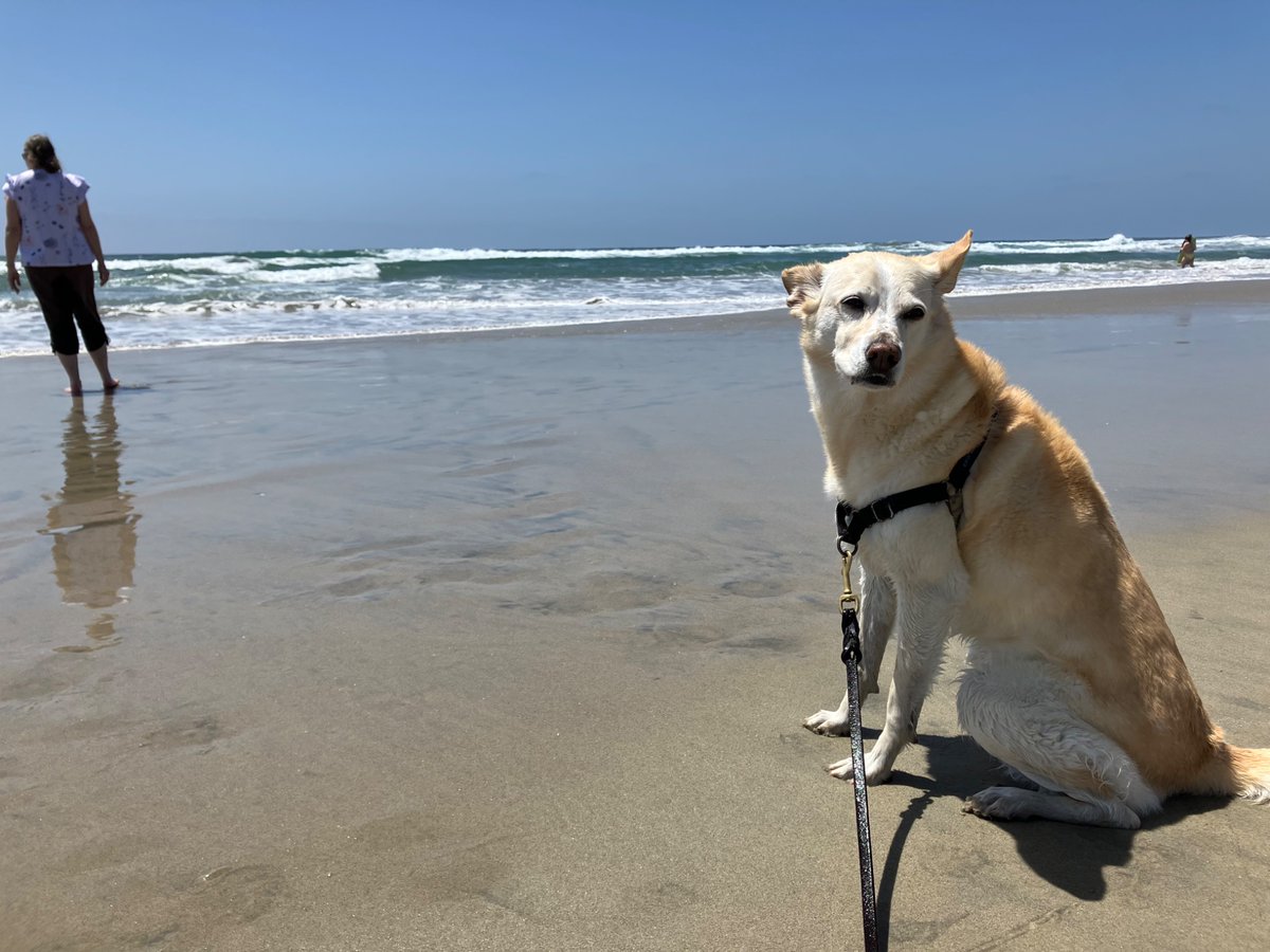 Joe Gibbs Politz tweet media