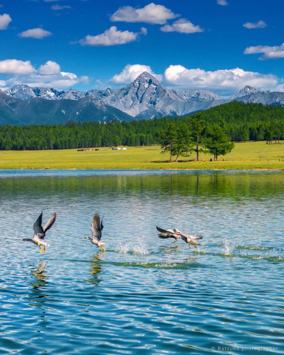 Сайхан өглөөний мэнд