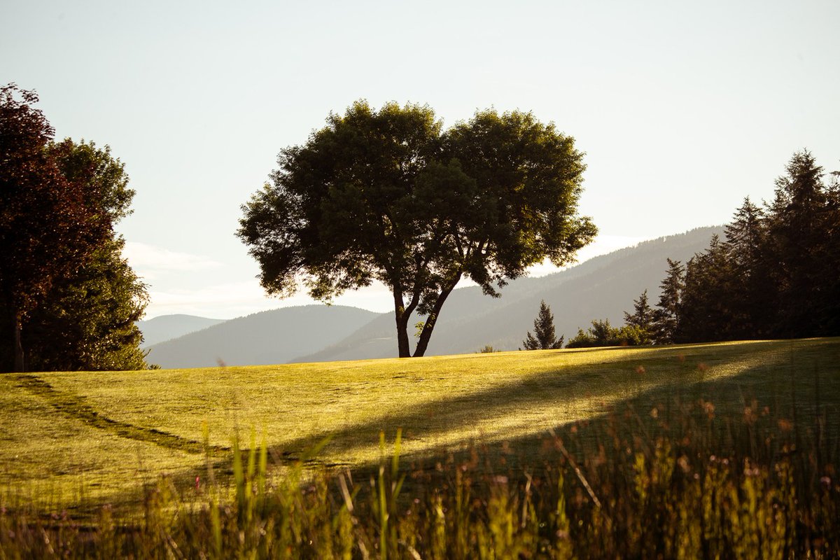 AGA_BC's tweet image. Shout out to Vernon Golf and Country Club for hosting the Zone 2 Women's Championships. 
The champion and runner-up of the Amateur and Senior events will represent Zone 2 at the provincials. #golfbc #vernonbc #agabc