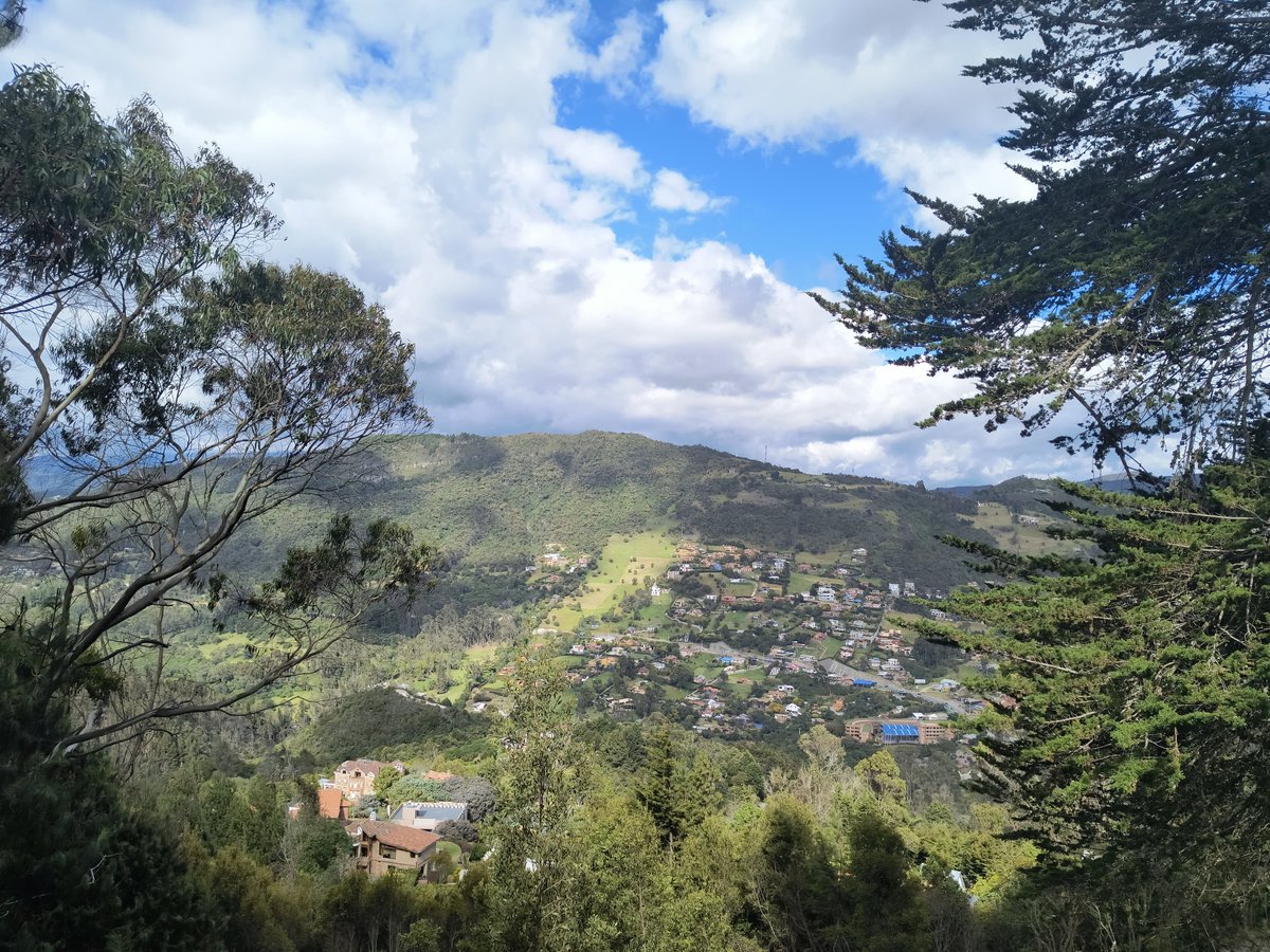 La energía que me impulsa a hacer mi parte por Venezuela y contra el aberrante sistema destructor y asesino conocido como chavismo, es que en una semana cumpliré 4 años en Colombia. 

No tengo nada malo contra este país. Fui bien recibido y ayudado. Tengo buenos amigos, y sobre