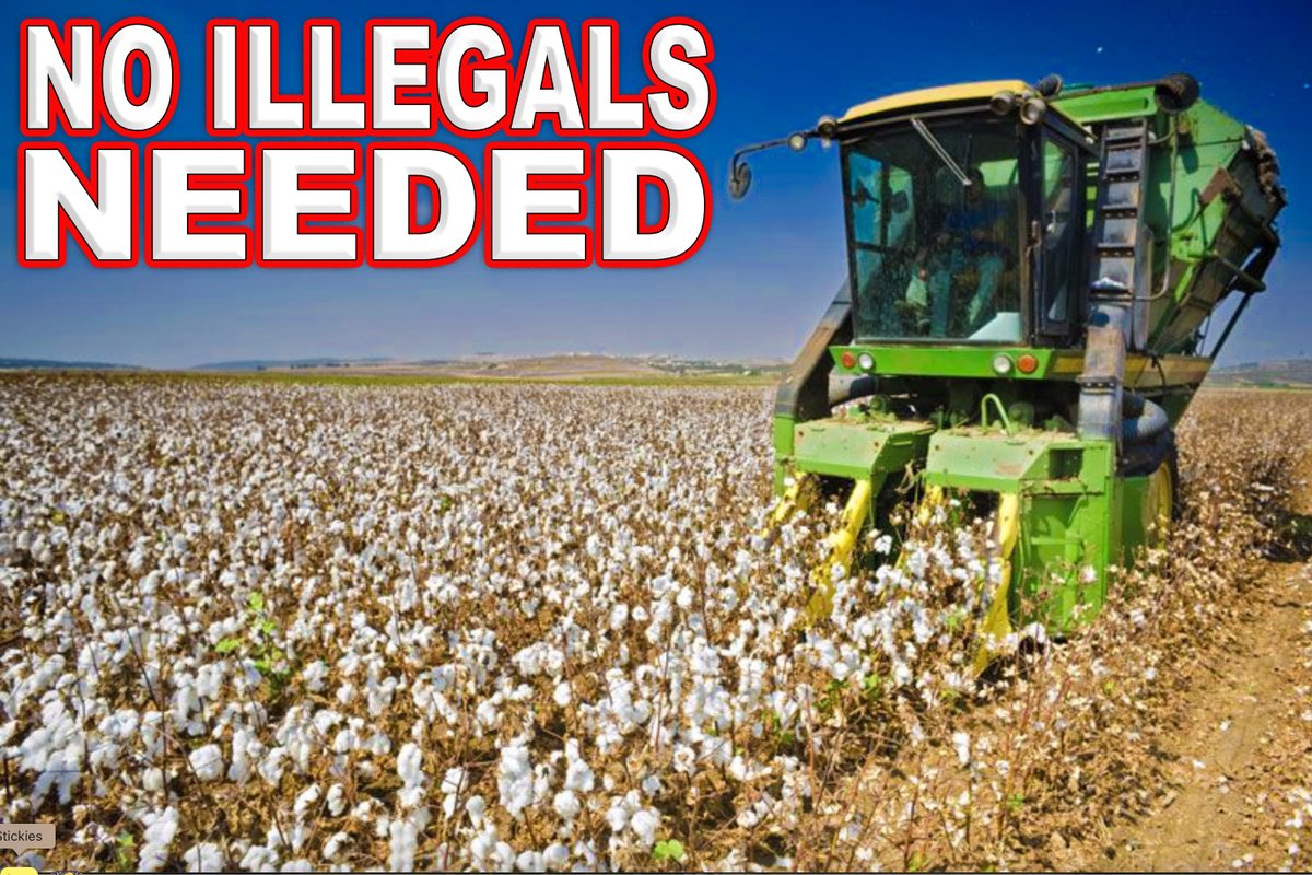BBWATTS65's tweet photo. @IanJaeger29 @JerryNadler Catch a Clue its the 21st Century, illegals arent planting or picking our crops anymore!!!!!!!
#JerryNadler
#Farmers
#PickingCrops https://t.co/xOSsrFPs5D